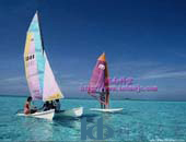 ��ȼ��͘�(sh��)֬,�G�~��ȼ��(sh��)֬,201��ȼ��(sh��)֬,��ȼ��(sh��)֬�r(ji��)��,��ȼ��,��ȼ��(sh��)֬,��ȼ��(sh��)֬�S��,�����ȼ��(sh��)֬��ȼ����䓘�(sh��)֬,��ȼʯӢʯ��(sh��)֬